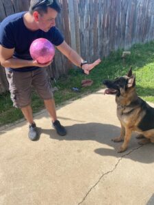 In the backyard, Dustin Aimes has a ball in one hand and his palm out of the other to train a German Shepherd dog in 2020.