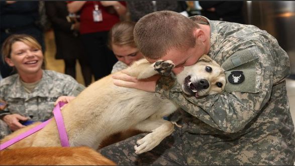 Serviceman hugging his dog
