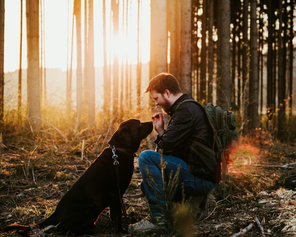 In the forest near sundown, a man is down on 1 knee to his black dog sitting in front of him.