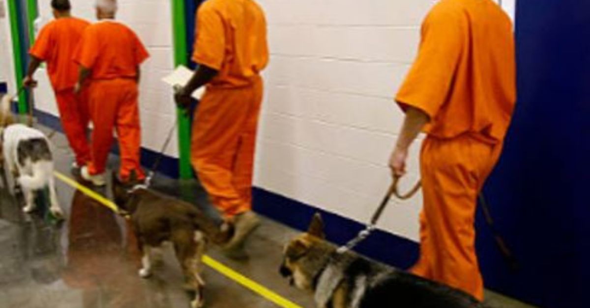 Inmate handlers doing their morning exercises with their dogs